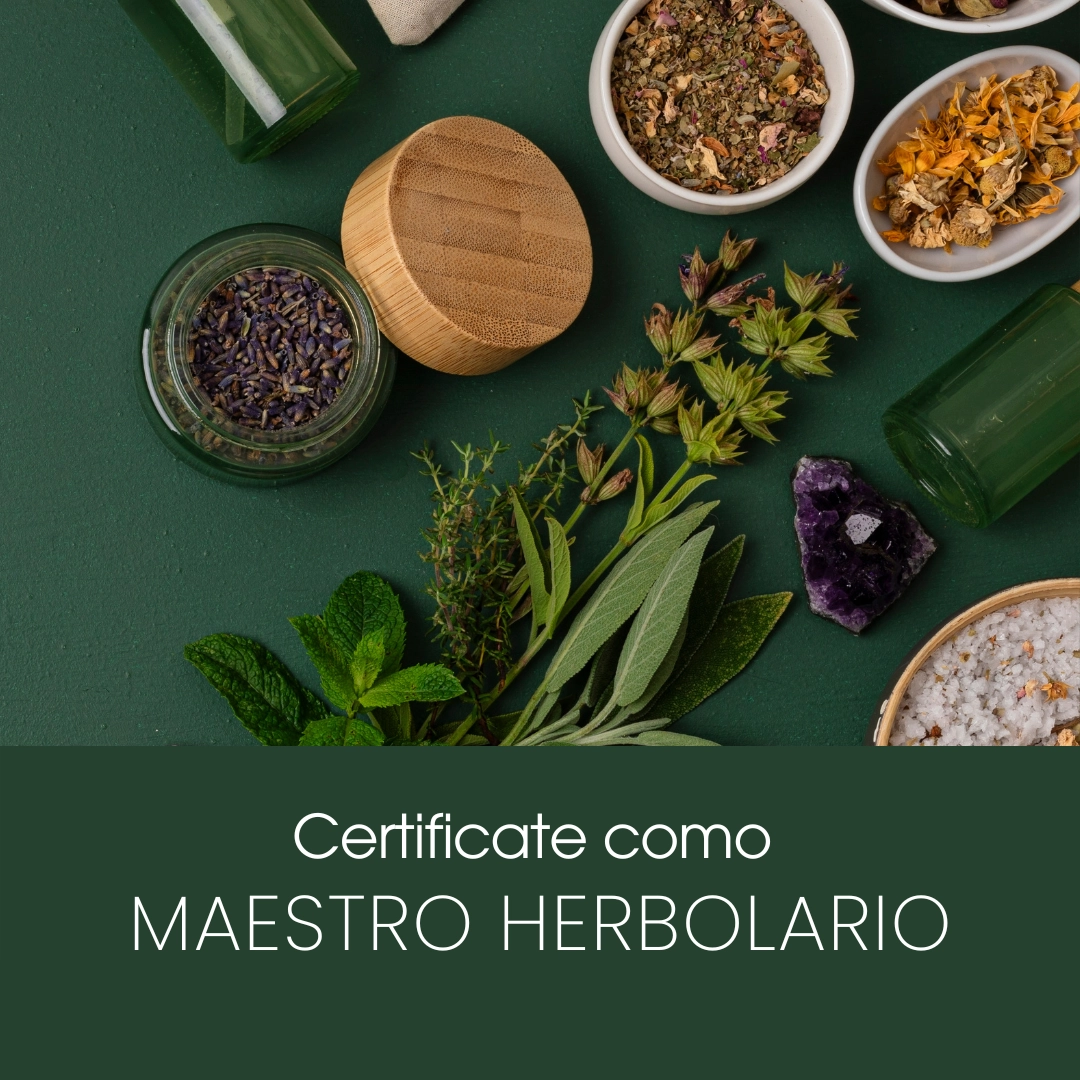Portada de Recetas del Curandero